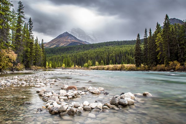 How to Move with your Siblings to Canada?