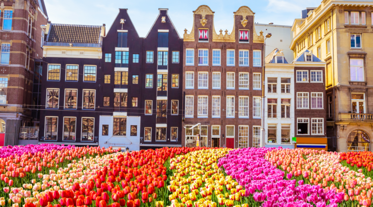 Your Guide to Netherlands Job Seeker Visa